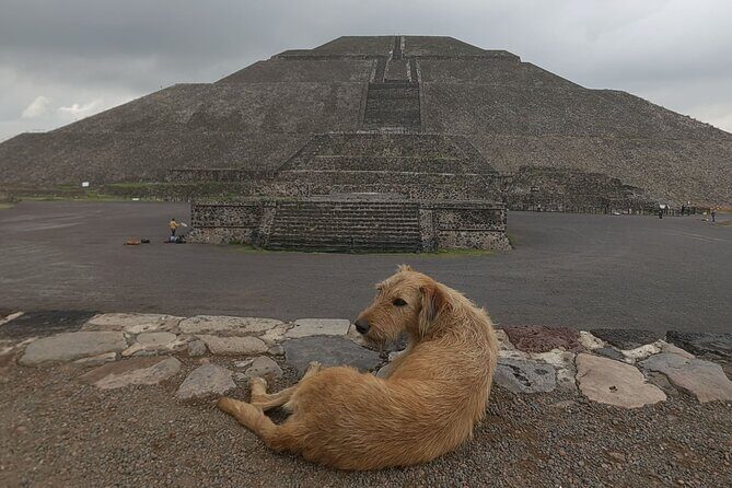 Tour to Teotihuacan from CDMX with entrances included - Why Choose This Tour to Teotihuacan?
