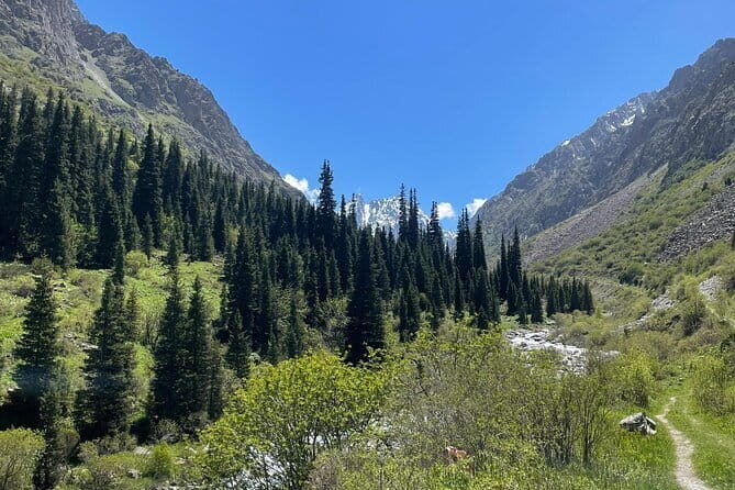 Tour to the Ala Archa National Park - Who Should Consider This Tour?