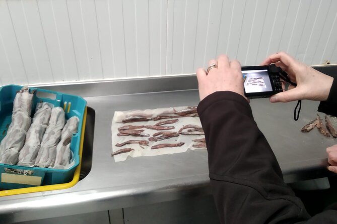 Tour to the Anchovies Factory and Santoña Marshes With Tasting - Meeting and Pickup