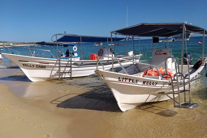 Tour to the Arch From Cabo San Lucas - Tour Overview and Inclusions