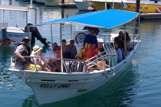 Tour to the Arch From Cabo San Lucas - Positive Experiences With Kelly Boat Tours