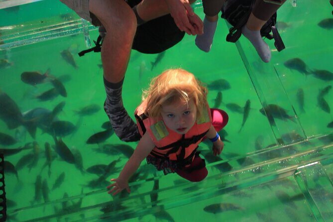 Tour to the Arch of Cabo San Lucas in a transparent glass boat - Authentic Experiences from Traveler Reviews