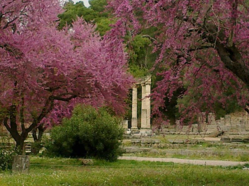 Tour to the archaeological site of Olympia by an archaeologist of Italian descent - Good To Know
