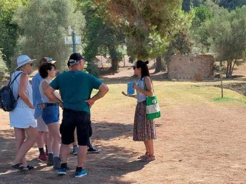 Tour to the archaeological site of Olympia by an archaeologist of Italian descent - The Experience in Detail