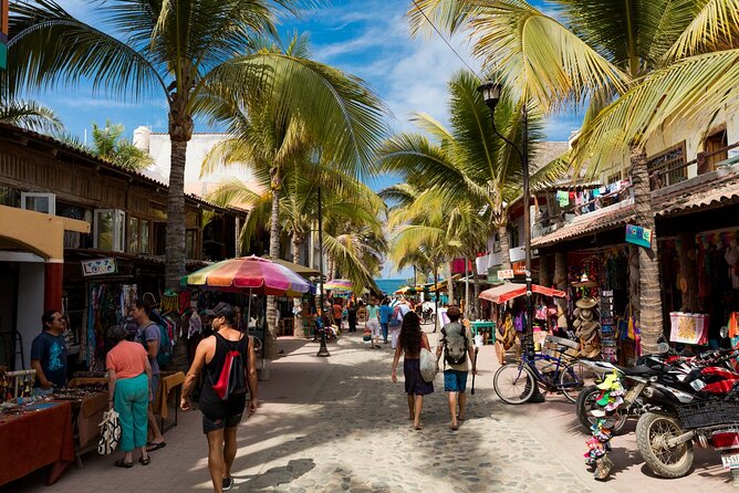 Tour to the Magical Town of Sayulita and San Pancho From Pto Vallarta - Reviews and Rating Distribution