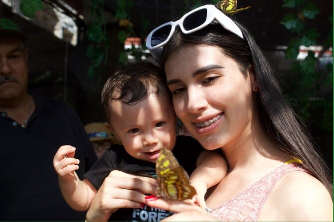 Tour to the Morpho Butterfly Garden in Vallarta and Mismaloya Beach Afternoon - Tour Details