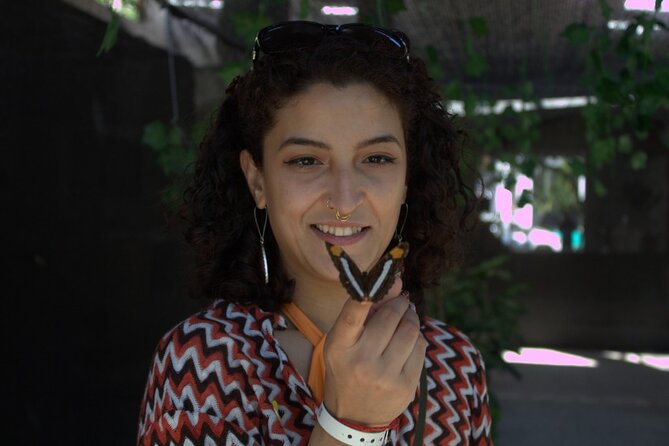 Tour to the Morpho Butterfly Garden in Vallarta and Mismaloya Beach Afternoon - Butterfly Garden Experience