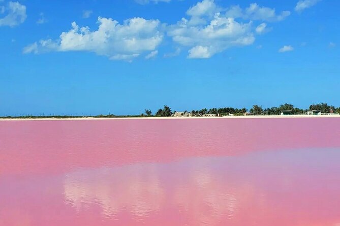 Tour to the Pink Lagoons & Río Lagartos From Merida - Cancellation Policy and Weather Requirement