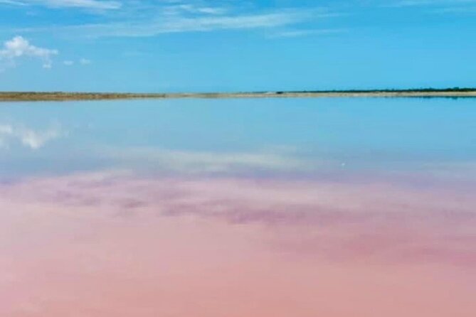 Tour to the Pink Lagoons & Río Lagartos From Merida - Reviews and Overall Rating