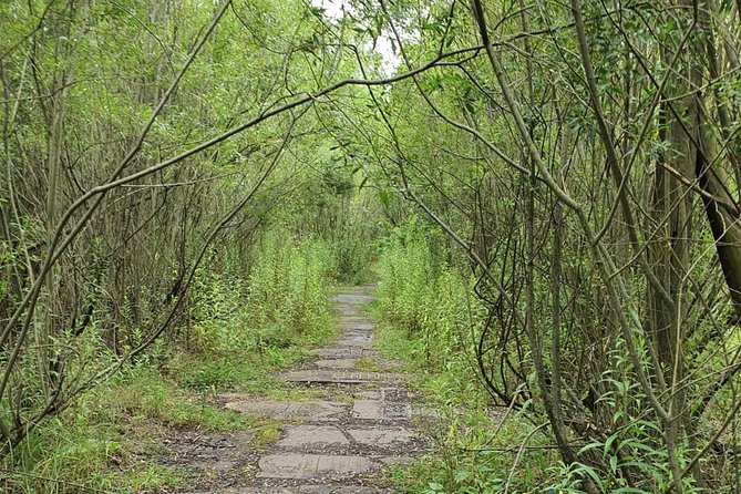 TOUR to the PLASZOW CONCENTRATION Camp. the Camp From Schindler's List. - Tour Overview