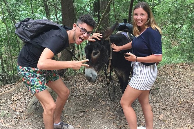 Tour to the Waterfalls in 4x4 Full Day - Meeting Point