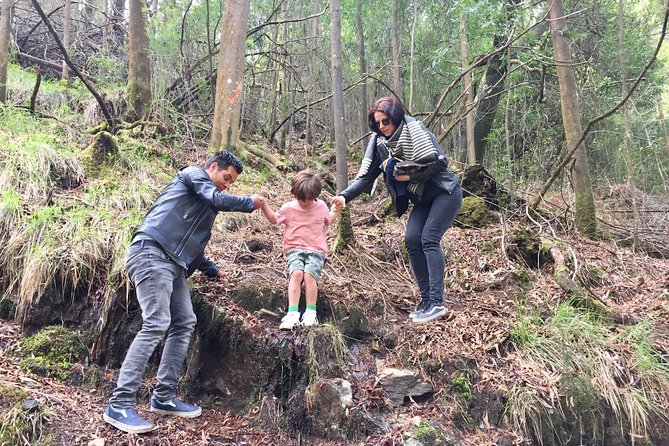 Tour to the Waterfalls in 4x4 Full Day - End Point