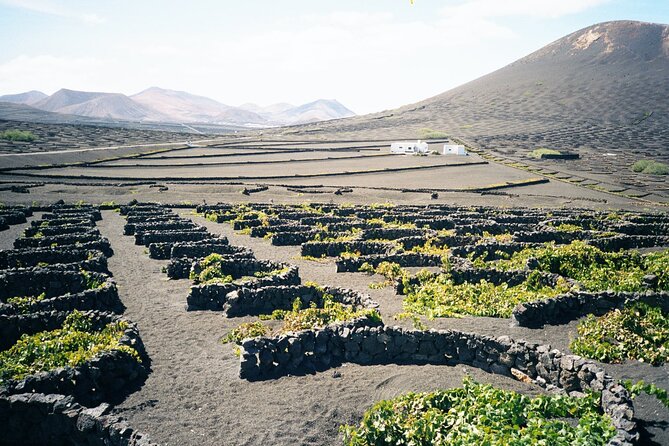 Tour to Timanfaya, La Geria, and La Laguna Verde - Traveler Photos
