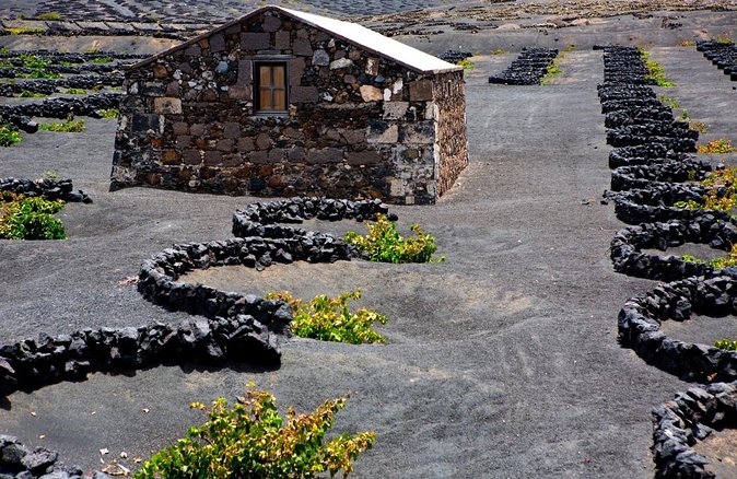 Tour to Timanfaya, La Geria and Laguna Verde for Cruise Passengers - Inclusions