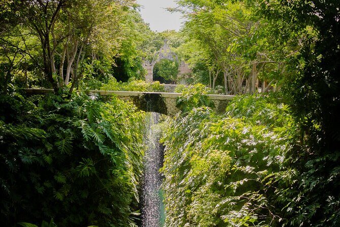 Tour to Uxmal and Hacienda Mucuyché included - Authentic Experiences and Hidden Details
