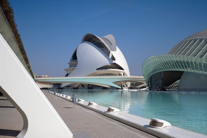 Tour to Valencia in a Day From Madrid - Must-See Attractions in Valencia