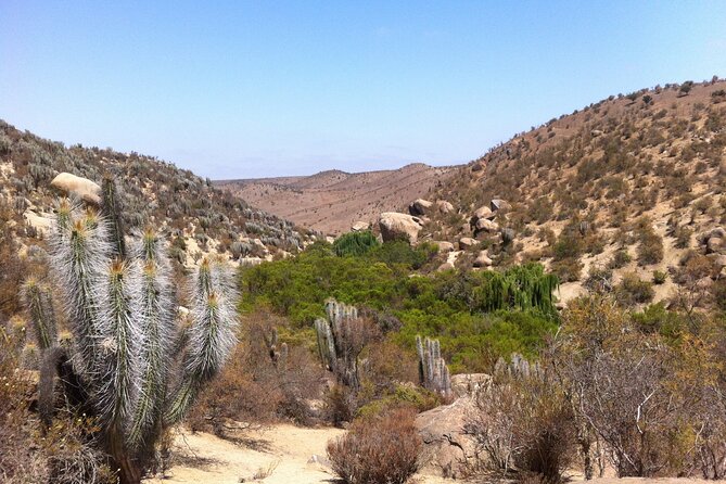Tour to Valle Del Encanto Archeology, Petroglyphs, Flora, Fauna and Springs - Tour Highlights