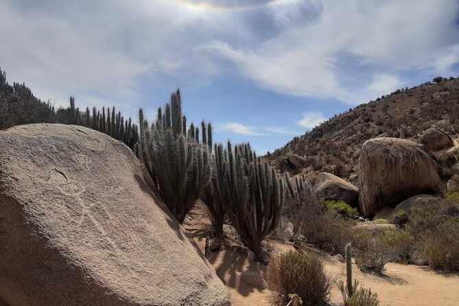 Tour to Valle Del Encanto Archeology, Petroglyphs, Flora, Fauna and Springs - Booking Essentials