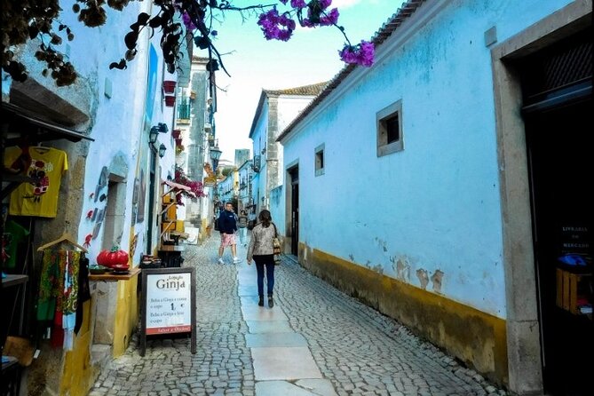 Tour Transfer From Lisbon Porto and Porto Lisbon - Confirmation Process