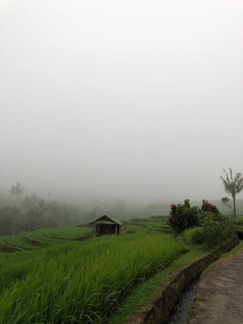 Tour & Traval Guide Bedugul - Optional Activities: Enhance Your Experience