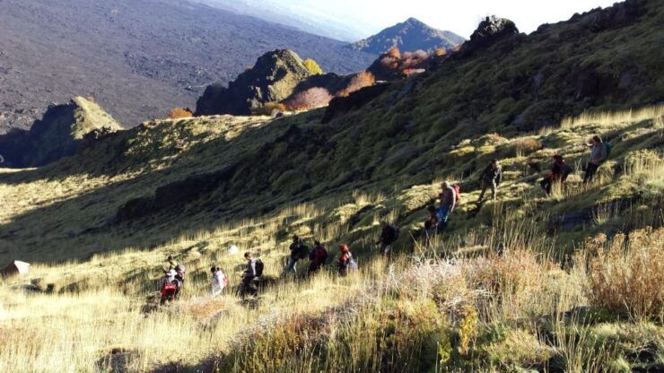 TOUR TREKKING ETNA MORNING DONKEY'S BACK - Booking Information