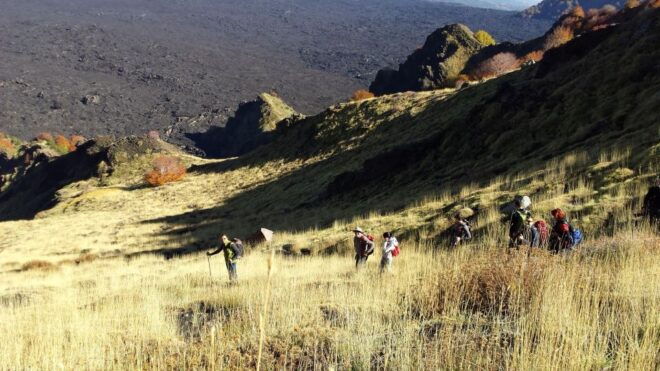 TOUR TREKKING ETNA MORNING DONKEY'S BACK - Activity Highlights