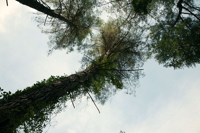 Tour TROODOS MOUNTAINS From Paphos - Tour Additional Details