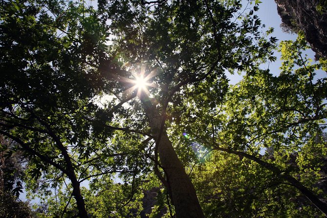 Tour TROODOS MOUNTAINS From Paphos - The Sum Up