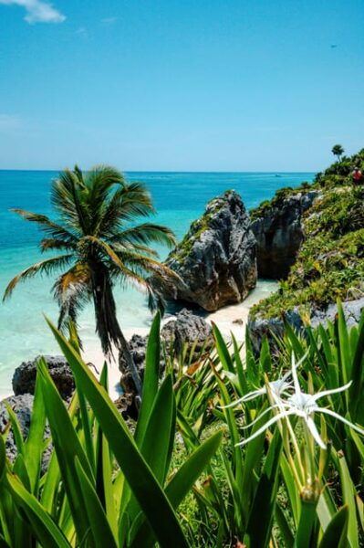 Tour Tulum, Cenote Casa Tortuga, and Madre Naturaleza Statue - Playa Del Carmen