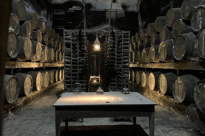 Tour Visit and Wine Tasting to Two Cellars in Setúbal Half Day - Wine Tasting Experience
