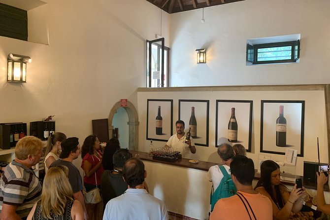 Tour Visit and Wine Tasting to Two Cellars in Setúbal Half Day - Common Questions
