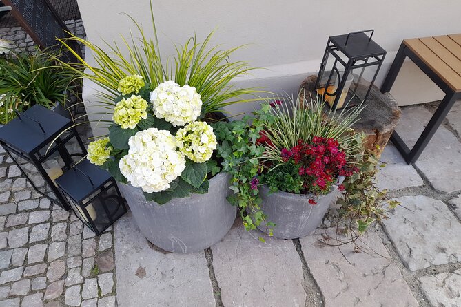 Tour VyšEhrad Fortress: Indulge Local Delicacies With a City View - Directions