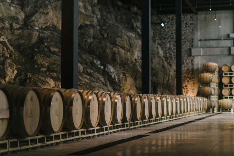 Tour & Wine Tasting San Miguel Vineyard / San Miguel Experience - Good To Know