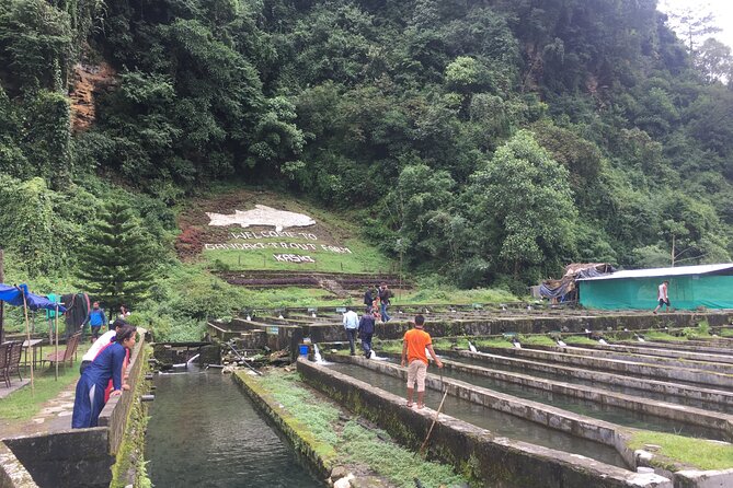 Tour With Dinner to Trout Fish Farm - Bhujung River - Common Questions