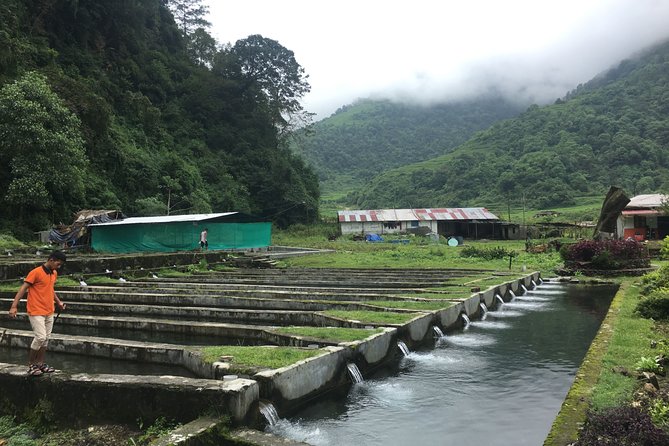 Tour With Dinner to Trout Fish Farm - Bhujung River - The Sum Up