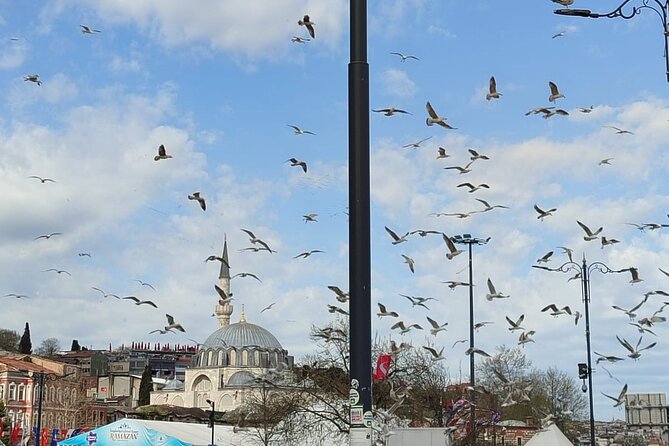 Tour With Guide Taha - Cancellation Policy