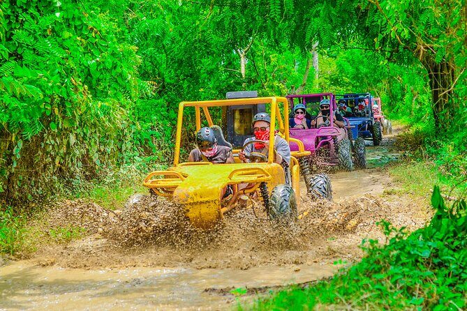 Tour with stops Exclusive in Buggy 4DW or ATV in Punta cana - The Sum Up