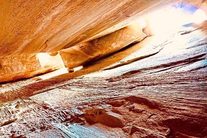 Tour with the Mountain Train, Trek to Mystic Forest and Castle - The Sum Up: Is This Tour Right for You?