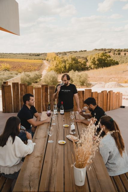 Tour With Wine and Olive Oil Tasting - Activity Highlights and Vineyard Visit