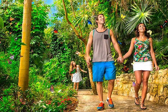 Tour Xcaret All Inclusive From Playa Del Carmen - Included Transportation - Meeting Points and Pickup Times