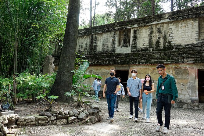 Touring the Museum of Anthropology - Exhibits and Collections