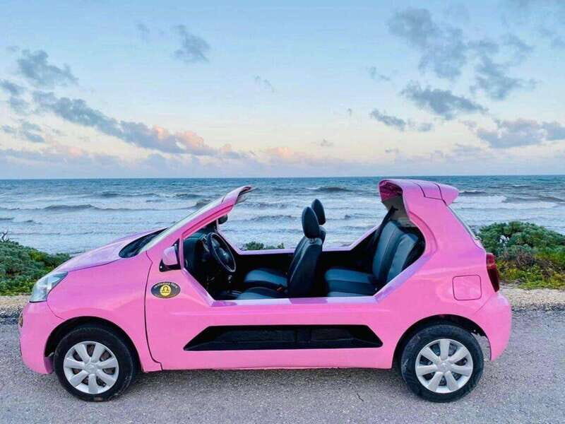 Tourist Buggy Tour of Cozumel Island - Chankanaab - Highlights of the Tour