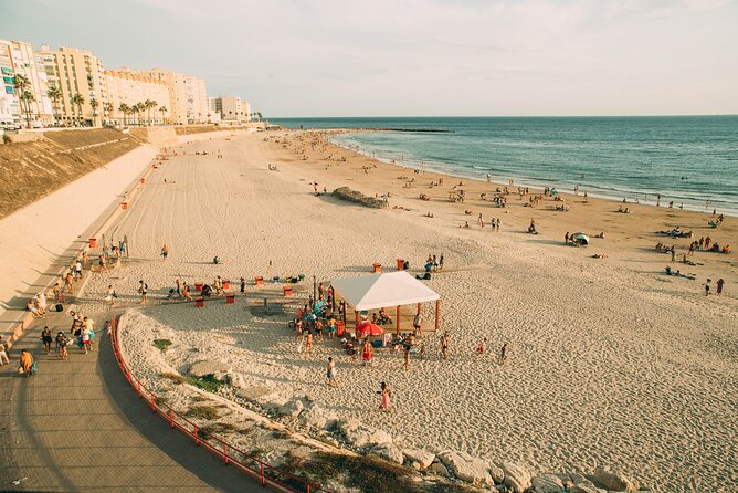 Touristic Highlights of Cadiz on a Private Half Day Tour With a Local - Cadiz Cathedral: a Stunning Architectural Masterpiece