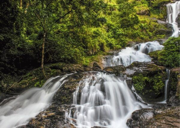 Touristic Highlights of Coorg (Guided Full Day Tour by Car) - Scenic Beauty Enjoyment