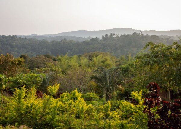 Touristic Highlights of Coorg (Guided Full Day Tour by Car) - Frequently Asked Questions