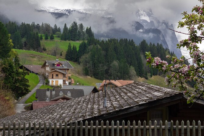 Touristic Highlights of Interlaken on a Private Half Day Tour With a Local - Historic Harder Kulm Funicular