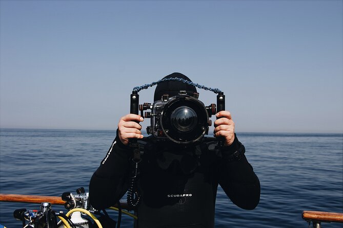 Touristic Highlights of Marseille a Private Half Day Tour With a Local - Vallon Des Auffes: Charming Fishing Village With Picturesque Views