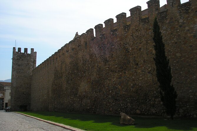 Touristic Highlights of Montblanc on a Private Half Day Tour With a Local - Strolling Through Montblancs Charming Streets