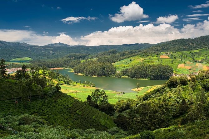 Touristic Highlights of Ooty (Guided Full Day City Sightseeing Tour by Car) - Rose Garden