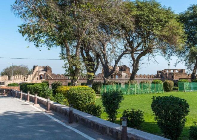 Touristic Highlights of Orchha & Jhansi(Guided Full Day Tour) - Lakshmibai Park Exploration